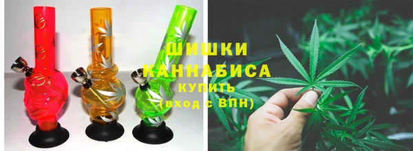 ПСИЛОЦИБИНОВЫЕ ГРИБЫ Абдулино