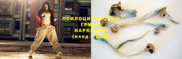 героин Алексин