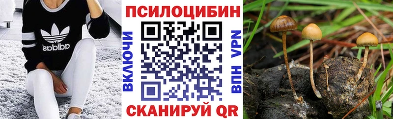 Галлюциногенные грибы прущие грибы Шенкурск