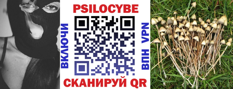 Галлюциногенные грибы Magic Shrooms Шенкурск